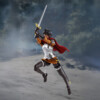 Berserk - Casca Band of the Hawk - SH figuarts
