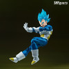 Dragon Ball Super - Vegeta Blue - Unwavering Saiyan Pride