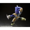 Dragon Ball Z - Kewi - SH Figuarts