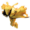 Naruto Shippuden - Uzumaki Naruto - Vibration Stars
