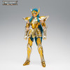 Saint Seiya Myth Cloth EX - Camus de Acuario - Revival