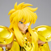 Saint Seiya Myth Cloth EX - Hyoga de Acuario - Inheritor of the gold cloth