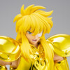 Saint Seiya Myth Cloth EX - Hyoga de Acuario - Inheritor of the gold cloth
