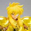 Saint Seiya Myth Cloth EX - Hyoga de Acuario - Inheritor of the gold cloth
