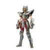 Saint Seiya - Myth Cloth EX - Pegasus Knights of the Zodiac