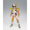 Saint Seiya Land Cloth - Daichi - Revival Myth Cloth